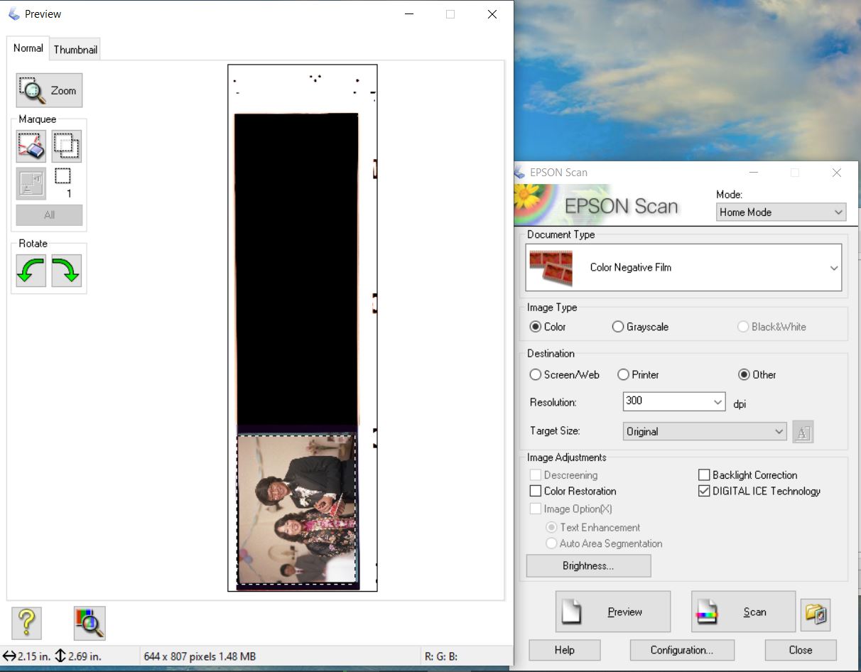 inverting negatives in epson scanner software inverting negatives in epson scanner software